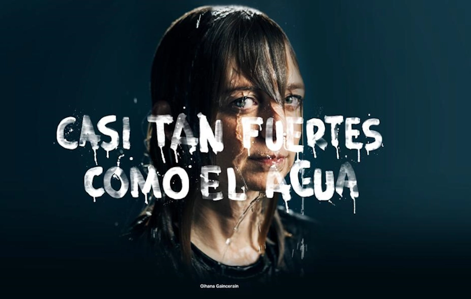 Gobierno Vasco