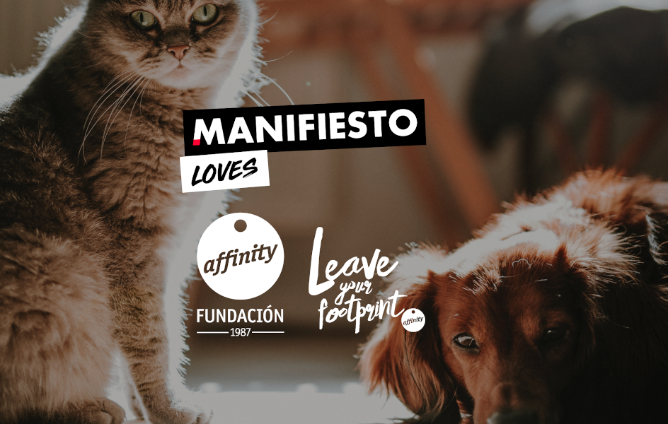 Dos nuevas cuentas para Manifiesto