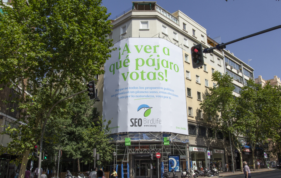 Seo BirdLife también está en campaña electoral