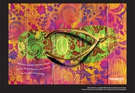 Havaianas