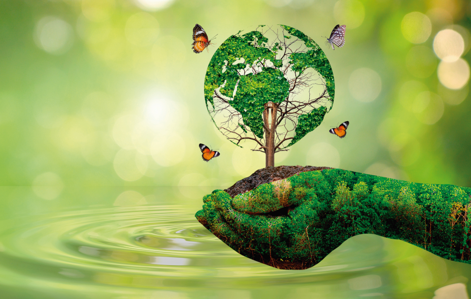 El 74% de los españoles, favorable a una fiscalidad medioambiental para las empresas