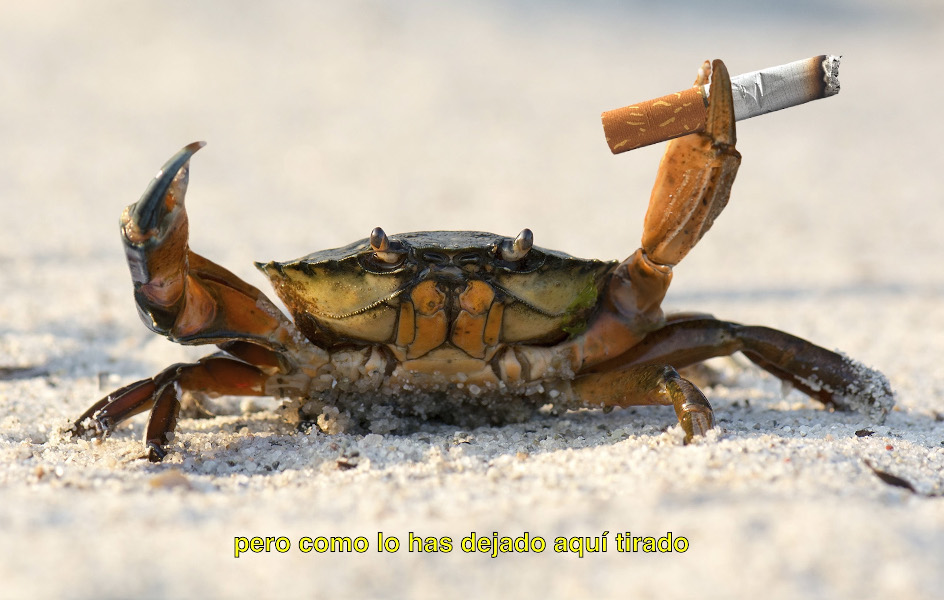 SEO/BirdLife y Ecoembes