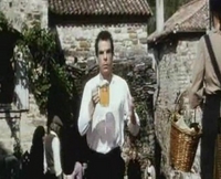 Stella Artois