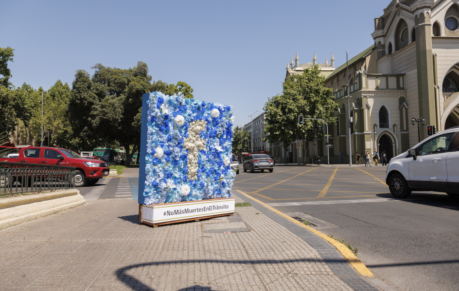 Flores que conciencian sobre la mortalidad en carretera