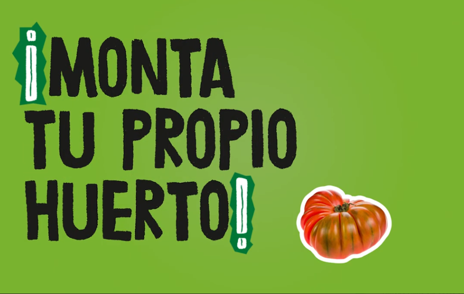 Ecocesta