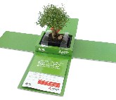Mitsubishi Electric