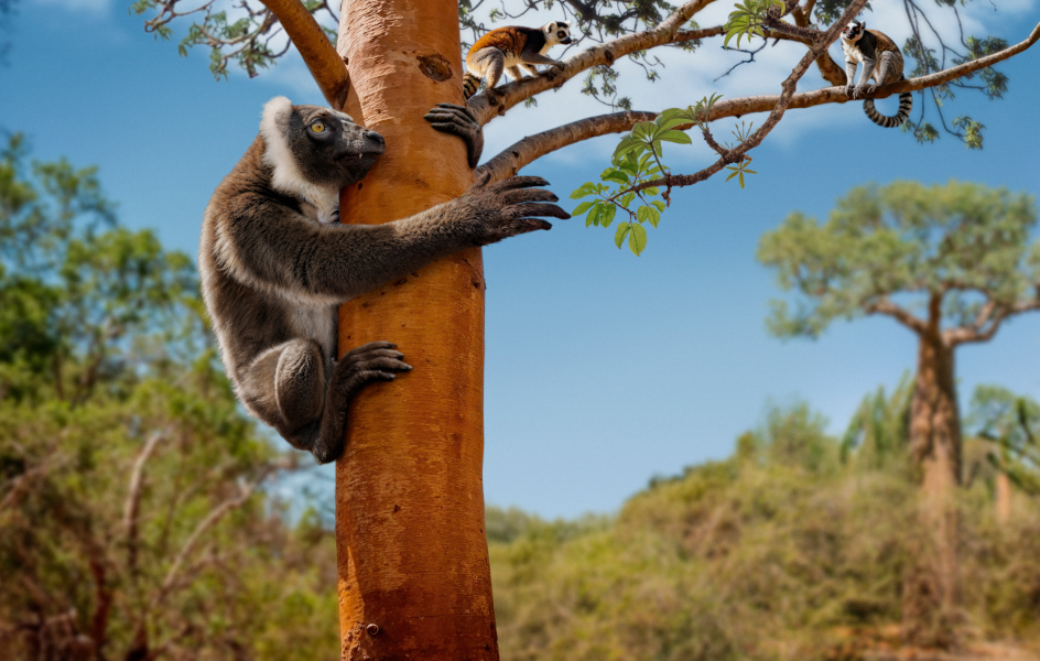 Especies extintas que regresan a la vida con ayuda de la IA