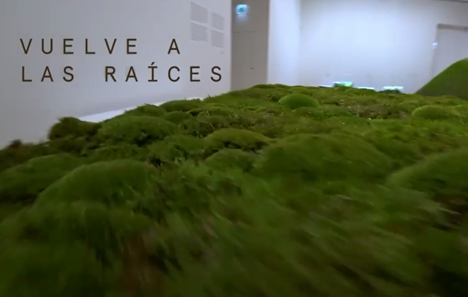 Museo Guggenheim Bilbao