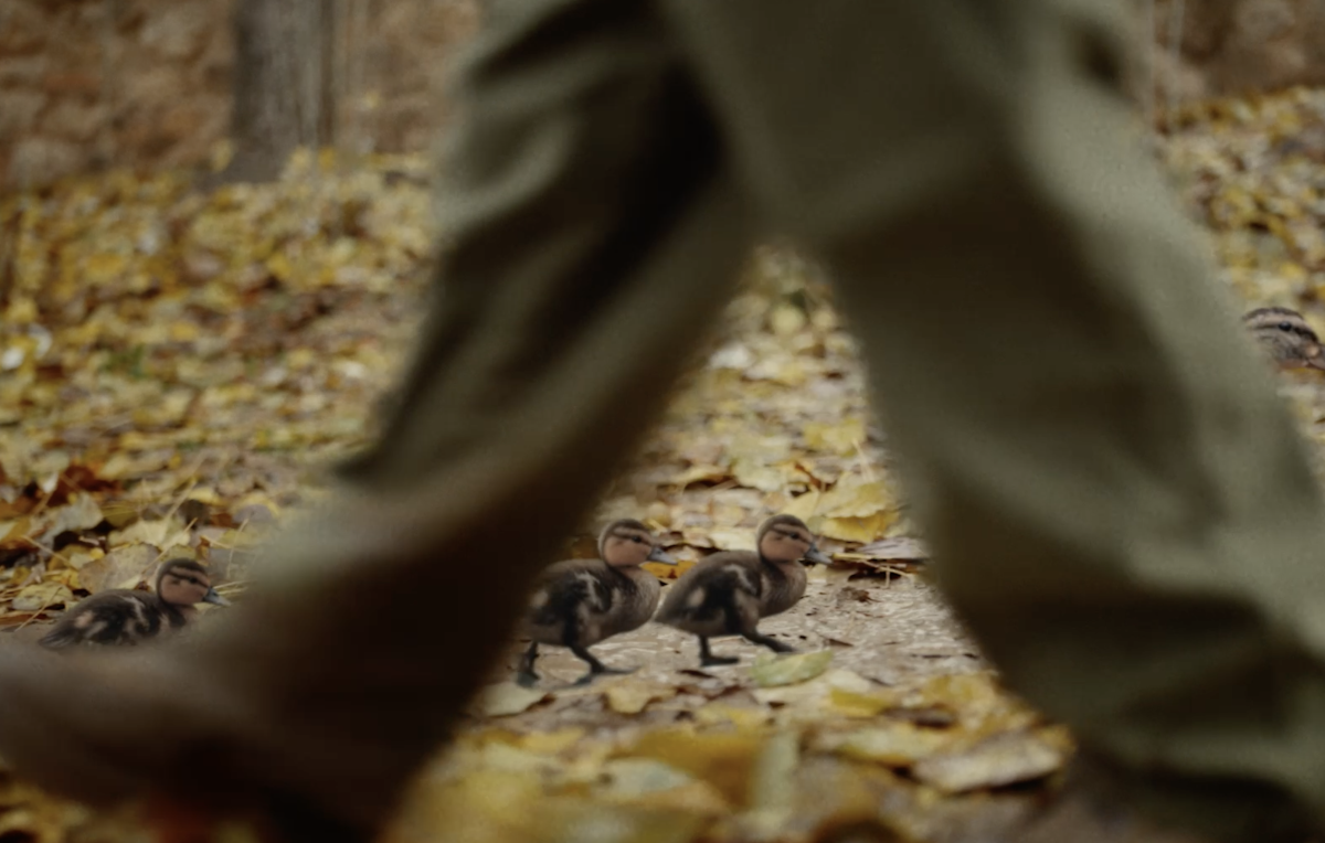 Darwin & Verne redefine el posicionamiento de Paradores