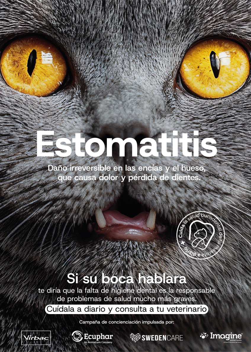 Virbac, Ecuphar, Swedencare e Imagine Animal Health. Gr 1. Marzo 2026