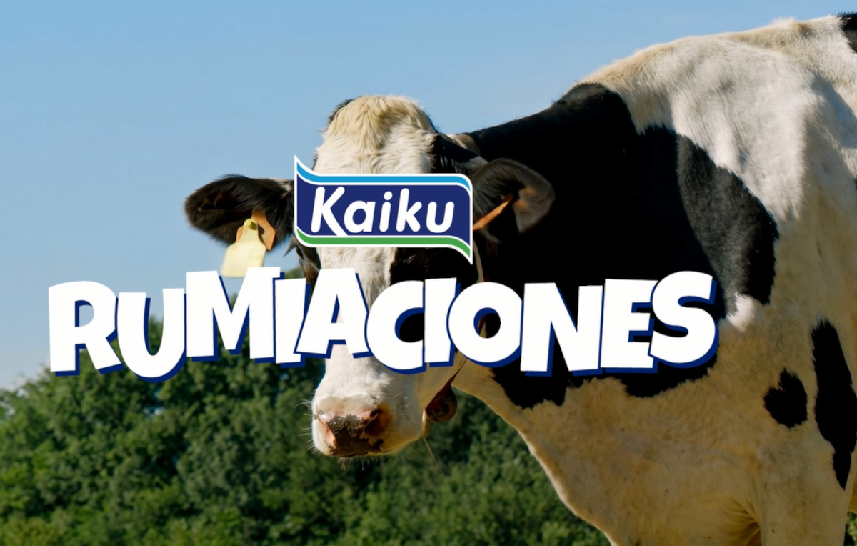Kaiku