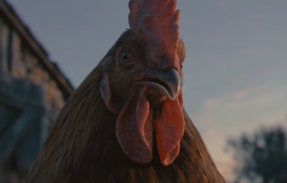 El único gallo del corral