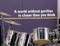 IFAW