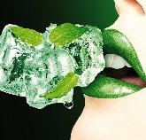 Bacardi