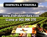 Disfruta & verdura