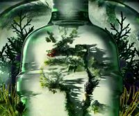 Tanqueray