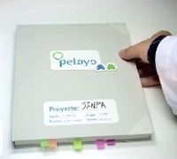 Seguros Pelayo