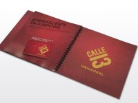 Calle 13