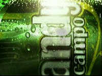 Shandy Cruzcampo