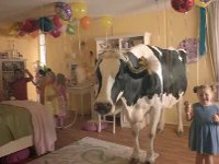 California Milk Advisory Board