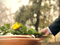 Grupo ASV Servicios Funerarios