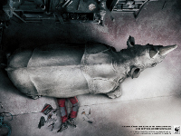WWF/Adena