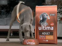 Affinity