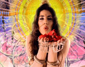 Ford Fiesta Vodafone