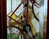 La Vanguardia y Mundo Deportivo