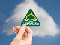 Queso Tetilla