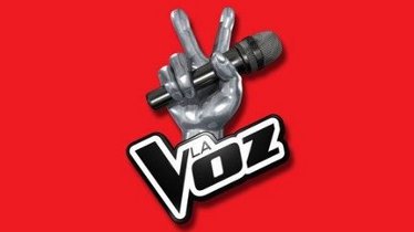 Gran Hermano y La Voz, lo más comentado de la televisión en Twitter en 2013