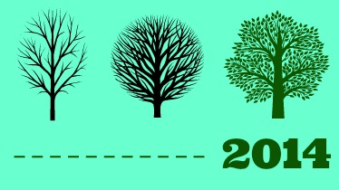 Zenith Vigía: optimismo moderado para 2014