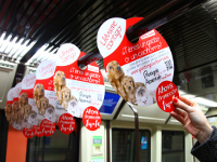 Royal Canin
