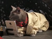 Virgin Mobile