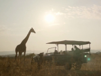 Expedia