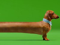 Yoigo