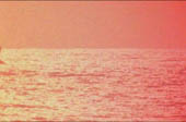 TVE