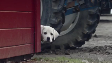Un spot en la Super Bowl podría costar hasta 6 millones de dólares en 2016