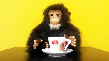 Peanuts&Monkeys comienza a trabajar para Lotus Bakeries