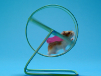 Yoigo