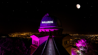 Lola empieza a trabajar para Bulldog Gin