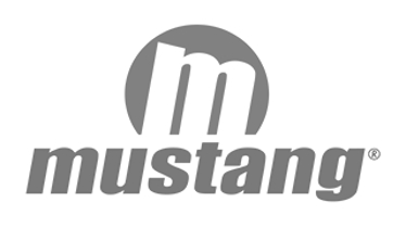 Mustang elige a iProspect para su campaña de buscadores en Google