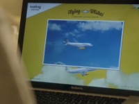 Vueling