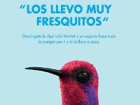 Lola Market