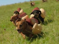 Heinz Ketchup