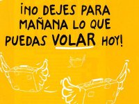 Vueling