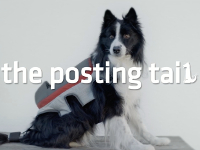 Los perros ya pueden utilizar las redes sociales (gracias a Pedigree)