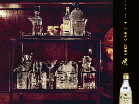 Seagram's Gin