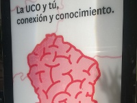 Universidad de Córdoba
