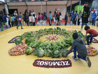 Zumosol